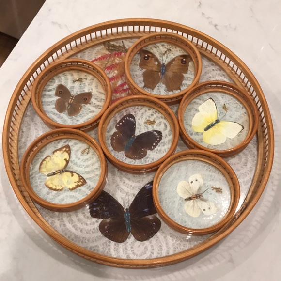 Vintage Other - Vintage boho taxidermy butterfly tray and coaster set pressed flowers / leaves